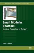 Small Modular Reactors: Nuclear Power Fad or Future?