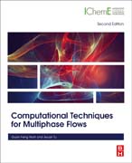 Computational Techniques for Multiphase Flows