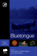 Bluetongue