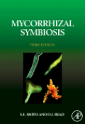 Mycorrhizal symbiosis