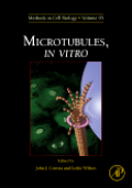 Microtubules, in vitro