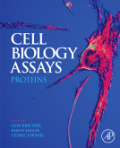 Cell biology assays: proteins