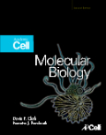 Molecular biology