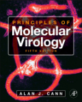 Principles of molecular virology