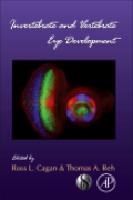 Invertebrate and vertebrate eye development