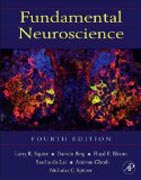 Fundamental neuroscience