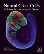 Neural Crest Cells: Evolution, Development and Disease