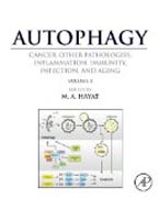 Autophagy: Cancer, Other Pathologies, Inflammation, Immunity, Infection, and Aging