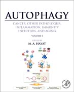 Autophagy: Cancer, Other Pathologies, Inflammation, Immunity, Infection, and Aging