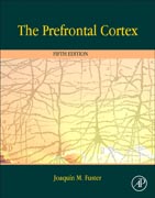 The Prefrontal Cortex