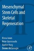 Mesenchymal Stem Cells and Skeletal Regeneration