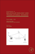 Cellular RNA interference mechanisms