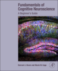 Fundamentals of cognitive neuroscience: a beginner's guide