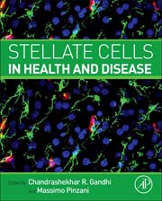 Stellate Cells in Health and Disease