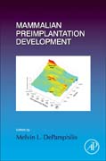 Mammalian Preimplantation Development