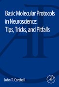 Basic Molecular Protocols in Neuroscience: Tips, Tricks, and Pitfalls