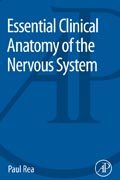 Essential Clinical Anatomy of the Nervous System