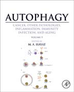 Autophagy: Cancer, Other Pathologies, Inflammation, Immunity, Infection, and Aging