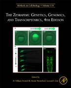 The Zebrafish: Genetics, Genomics, and Transcriptomics