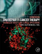 DNA Repair in Cancer Therapy: Molecular Targets and Clinical Applications