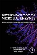 Biotechnology of Microbial Enzymes: Production, Biocatalysis and Industrial Applications