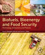 Biofuels, Bioenergy and Food Security: Technology, Institutions and Policies