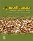 Lignocellulosics: Renewable Feedstock for (Tailored) Functional Materials and Nanotechnology