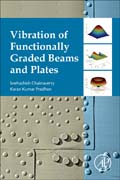 Vibration of Functionally Graded Beams and Plates