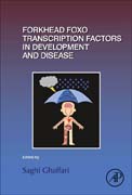 Forkhead FOXO Transcription Factors in Development and Disease