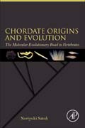 Chordate Origins and Evolution: The Molecular Evolutionary Road to Vertebrates