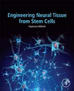 Engineering Neural Tissue from Stem Cells