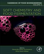 Soft Chemistry and Food Fermentation