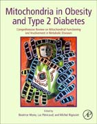 Mitochondria in Obesity and Type 2 Diabetes: Comprehensive Review on Mitochondrial Functioning and Involvement in Metabolic Diseases