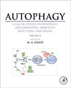 Autophagy: Cancer, Other Pathologies, Inflammation, Immunity, Infection, and Aging