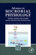 Nitric Oxide and Other Small Signalling Molecules