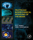 Multiscale Biomechanical Modeling of the Brain