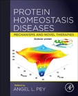 Protein Homeostasis Diseases: Mechanisms and Novel Therapies