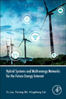 Hybrid Systems and Multi-energy Networks for the Future Energy Internet