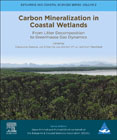 Carbon Mineralization in Coastal Wetlands: From Litter Decomposition to Greenhouse Gas Dynamics