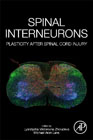 Spinal Interneurons: Plasticity after Spinal Cord Injury