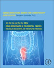 Drug Resistance in Colorectal Cancer: Molecular Mechanisms and Therapeutic Strategies