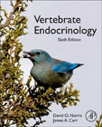 Vertebrate Endocrinology