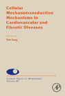 Cellular Mechanotransduction Mechanisms in Cardiovascular and Fibrotic Diseases