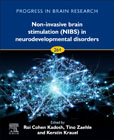 Non-invasive Brain Stimulation (NIBS) in Neurodevelopmental Disorders