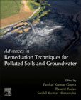 Advances in Remediation Techniques for Polluted Soils and Groundwater