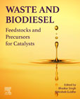 Waste and Biodiesel: Feedstocks and Precursors for Catalysts