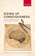 Sizing up Consciousness: Towards an objective measure of the capacity for experience