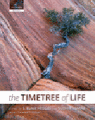 The timetree of life