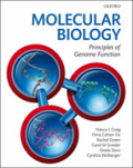 Molecular biology: principles of genome function