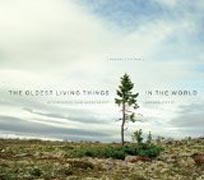 The Oldest Living Things in the World